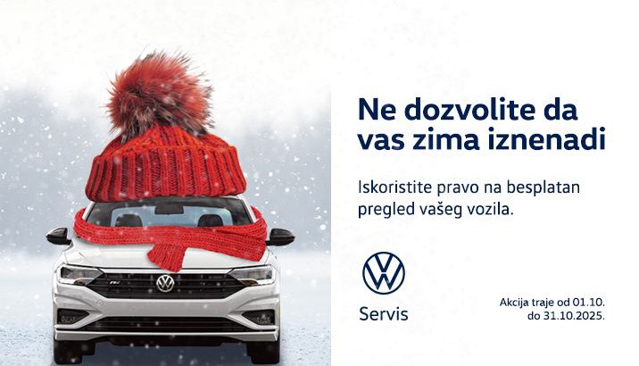 zimski servis